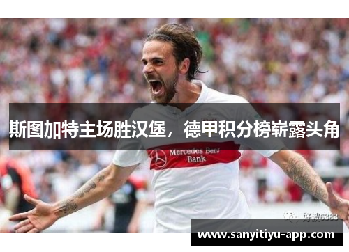 斯图加特主场胜汉堡，德甲积分榜崭露头角